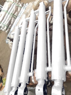 Excavator Spare Parts Double Acting Hydraulic Cylinder for Takeuchi Arm Boom Bucket